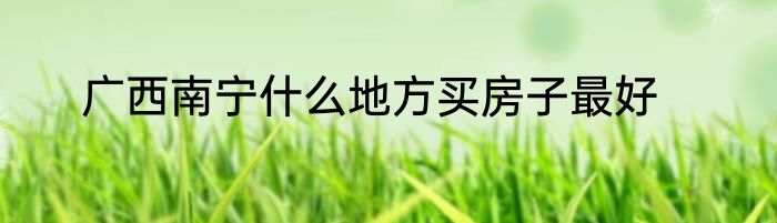 广西南宁什么地方买房子最好