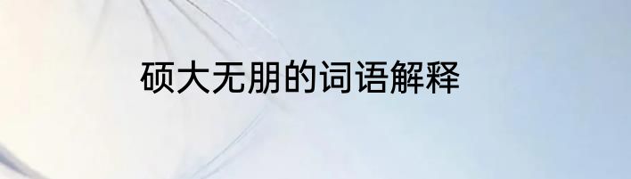 硕大无朋的词语解释