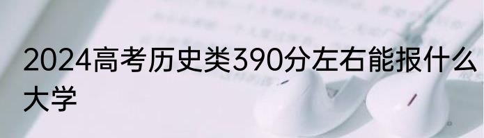 2024高考历史类390分左右能报什么大学