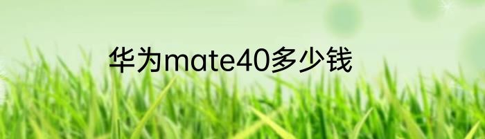 华为mate40多少钱