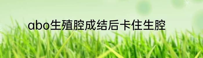 abo生殖腔成结后卡住生腔
