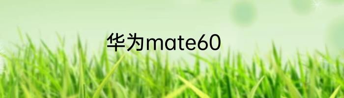 华为mate60