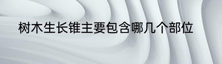 树木生长锥主要包含哪几个部位