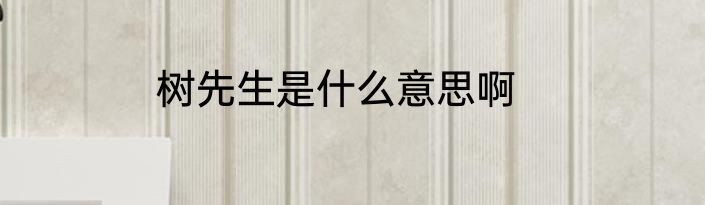 树先生是什么意思啊