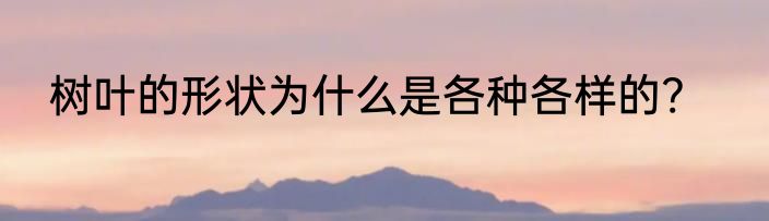树叶的形状为什么是各种各样的?