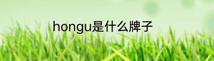 hongu是什么牌子