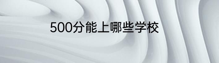 500分能上哪些学校