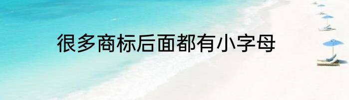 很多商标后面都有小字母