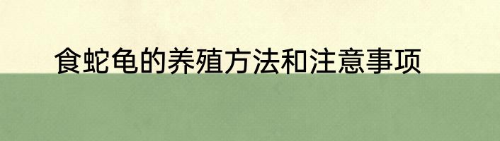 食蛇龟的养殖方法和注意事项