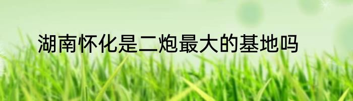 湖南怀化是二炮最大的基地吗