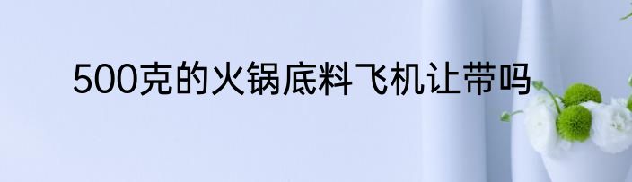 500克的火锅底料飞机让带吗