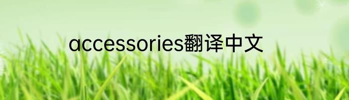 accessories翻译中文