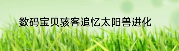 数码宝贝骇客追忆太阳兽进化