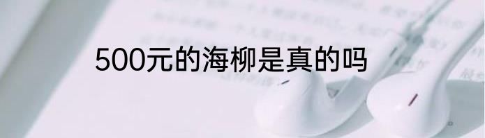500元的海柳是真的吗