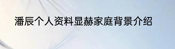 潘辰个人资料显赫家庭背景介绍