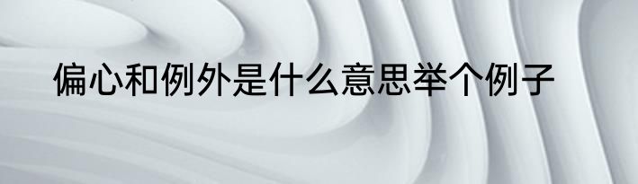 偏心和例外是什么意思举个例子