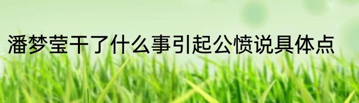 潘梦莹干了什么事引起公愤说具体点