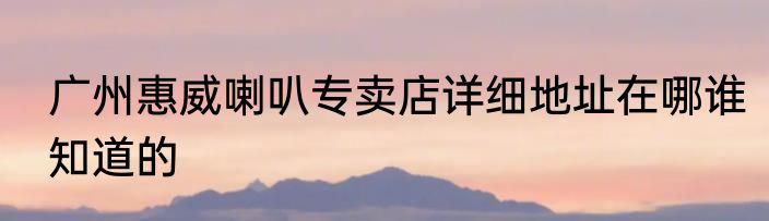 广州惠威喇叭专卖店详细地址在哪谁知道的