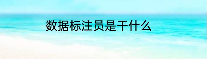 数据标注员是干什么
