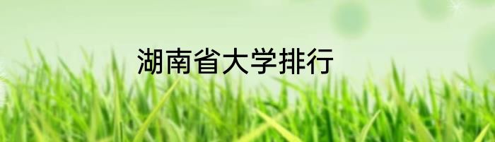 湖南省大学排行