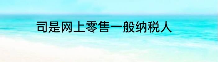 司是网上零售一般纳税人