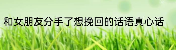 和女朋友分手了想挽回的话语真心话