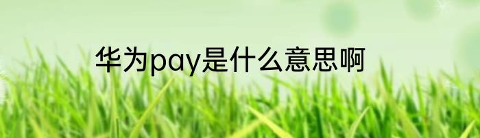 华为pay是什么意思啊