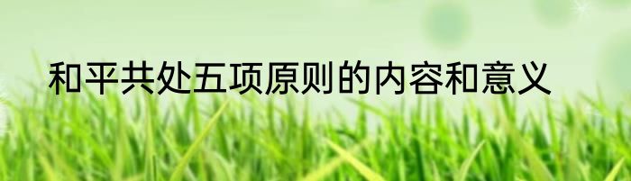 和平共处五项原则的内容和意义