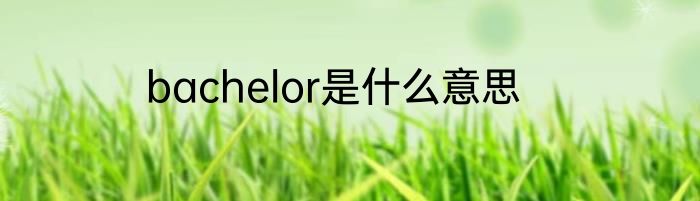 bachelor是什么意思