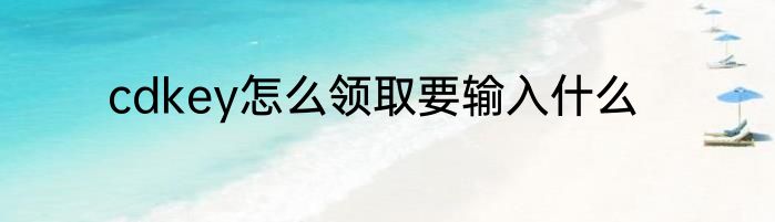 cdkey怎么领取要输入什么