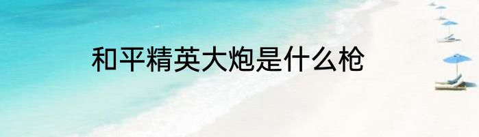 和平精英大炮是什么枪