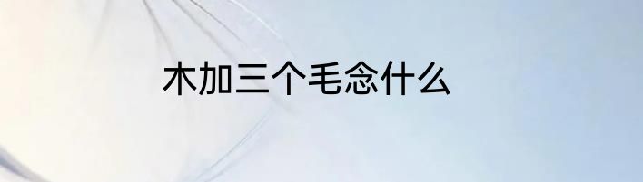 木加三个毛念什么