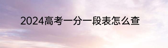 2024高考一分一段表怎么查