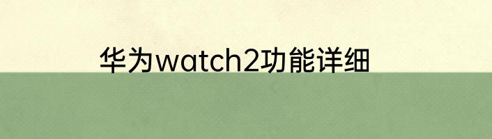 华为watch2功能详细