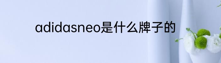 adidasneo是什么牌子的