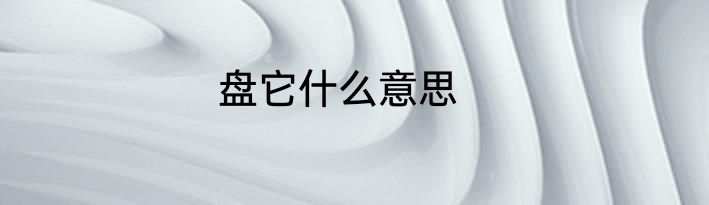盘它什么意思