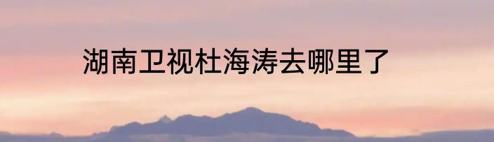 湖南卫视杜海涛去哪里了