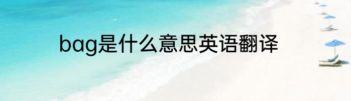 bag是什么意思英语翻译
