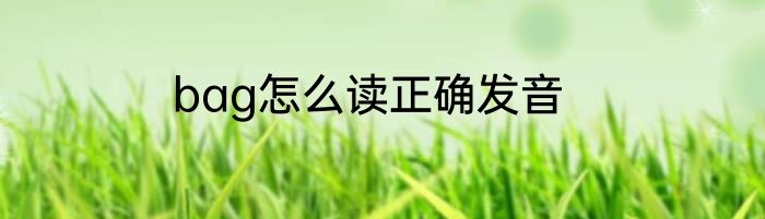 bag怎么读正确发音
