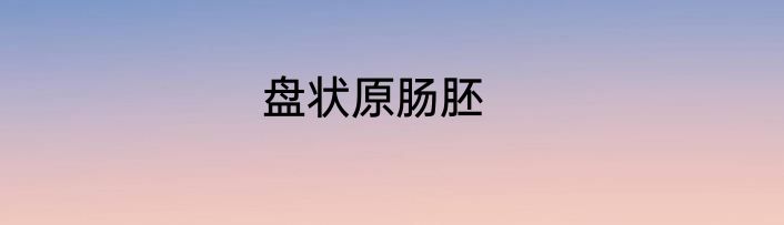 盘状原肠胚