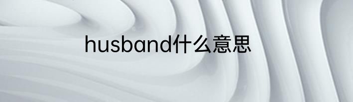 husband什么意思