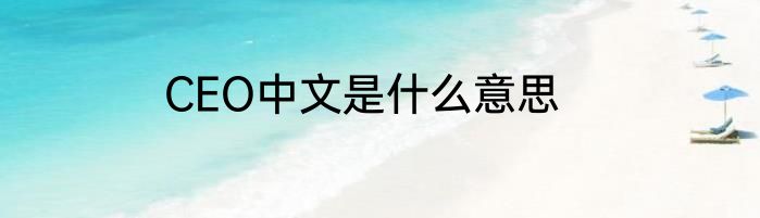 CEO中文是什么意思