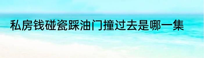 私房钱碰瓷踩油门撞过去是哪一集