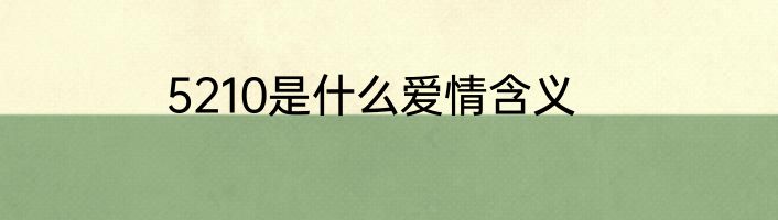 5210是什么爱情含义