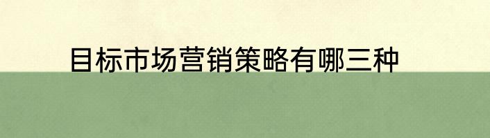 目标市场营销策略有哪三种