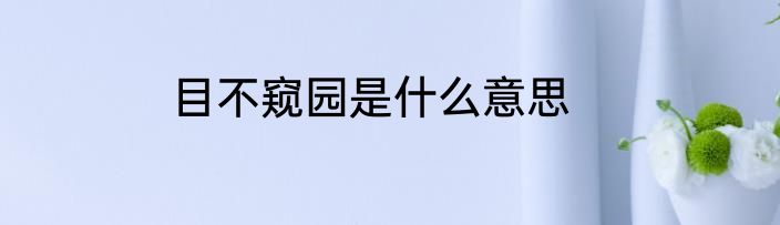 目不窥园是什么意思