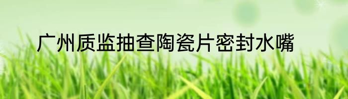 广州质监抽查陶瓷片密封水嘴