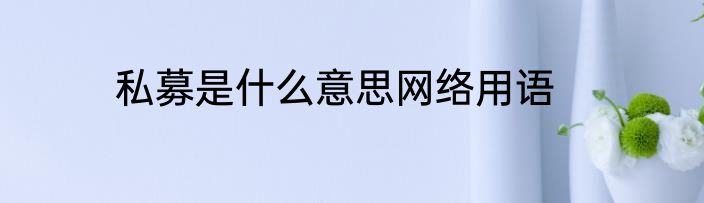 私募是什么意思网络用语