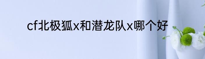 cf北极狐x和潜龙队x哪个好