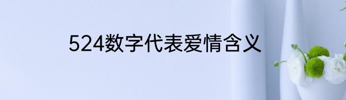 524数字代表爱情含义